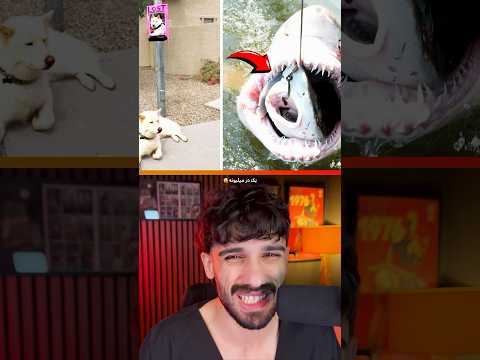 عجیب و غریب ترین عکس هایی که دیگه امکان نداره گرفته بشن Shorts