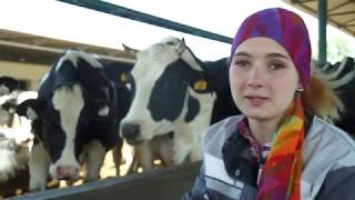 видео: Хочу. Могу. Умею. Доярка картинка: Хочу. Могу. Умею. Доярка