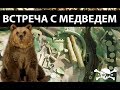 Коп в лесу, встреча с медведем