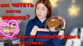 Как читать состав кормов? Обзор хорошего корма Территория by Maine Coon's live 15,209 views 1 year ago 11 minutes, 14 seconds