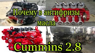 Cummins 2.8 в антифризы масло