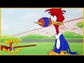 Woody Woodpecker | Wicket Wacky | Old Cartoon | Woody Woodpecker Full Episodes | Videos for Kids