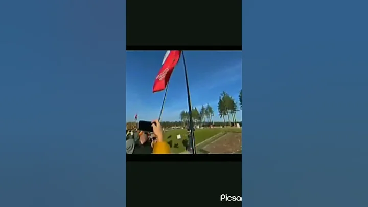 The art of rally #automobile #edit #bmw #shorts #trending #shortvideo #viral #viralvideo