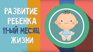 Одиннадцатый месяц месяц жизни. Календарь развития ребенка