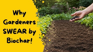 The Surprising Benefits of Using Biochar in Your Garden