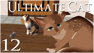Birth of a Fishy Smelling Kitten!! • Ultimate Cat Simulator  Episode #12