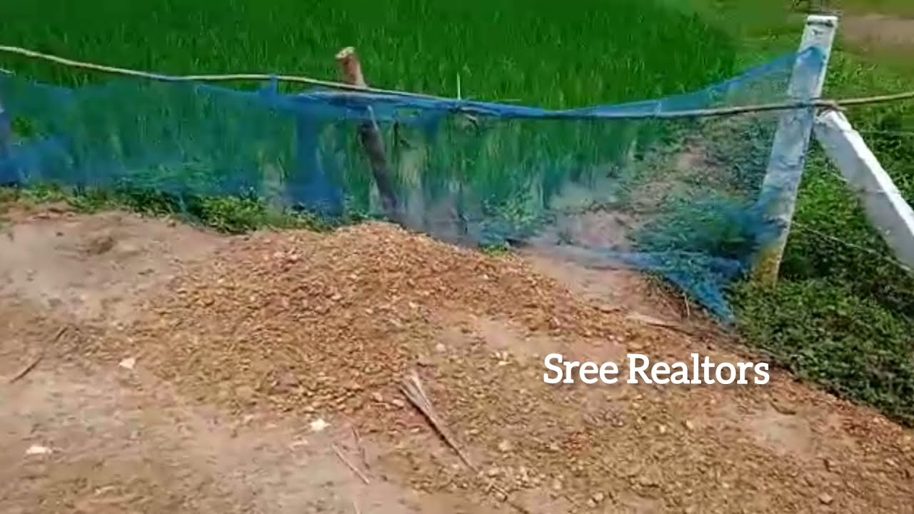 Agriculture Land For Sale In Vizianagaram Farm Lands for Sale in