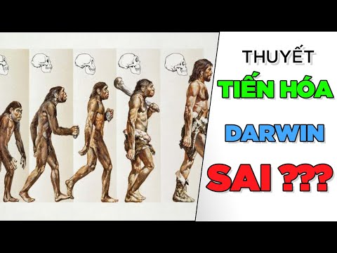 Video: Darwin có làm thí nghiệm không?