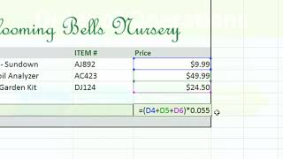 MS Excel 2010 Lesson 15 Complex Formulas