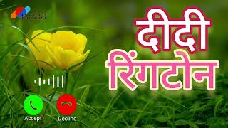 Download Lagu Didi Ringtone Beautifull #ringtone New Mobile Ringtone #fluteringtone sms ringtone #newringtone MP3