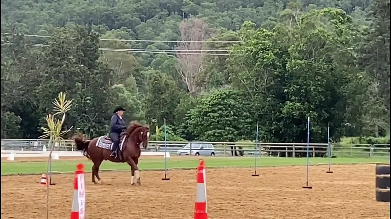 Working Equitation Australian Debutante F level 2022