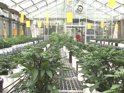 음성군 농업기술센터 (Eumseong-gun Agricultral Technology & Extension Center)