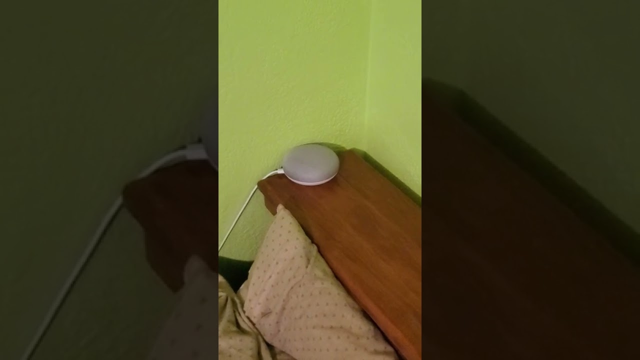 Google Home Mini fail