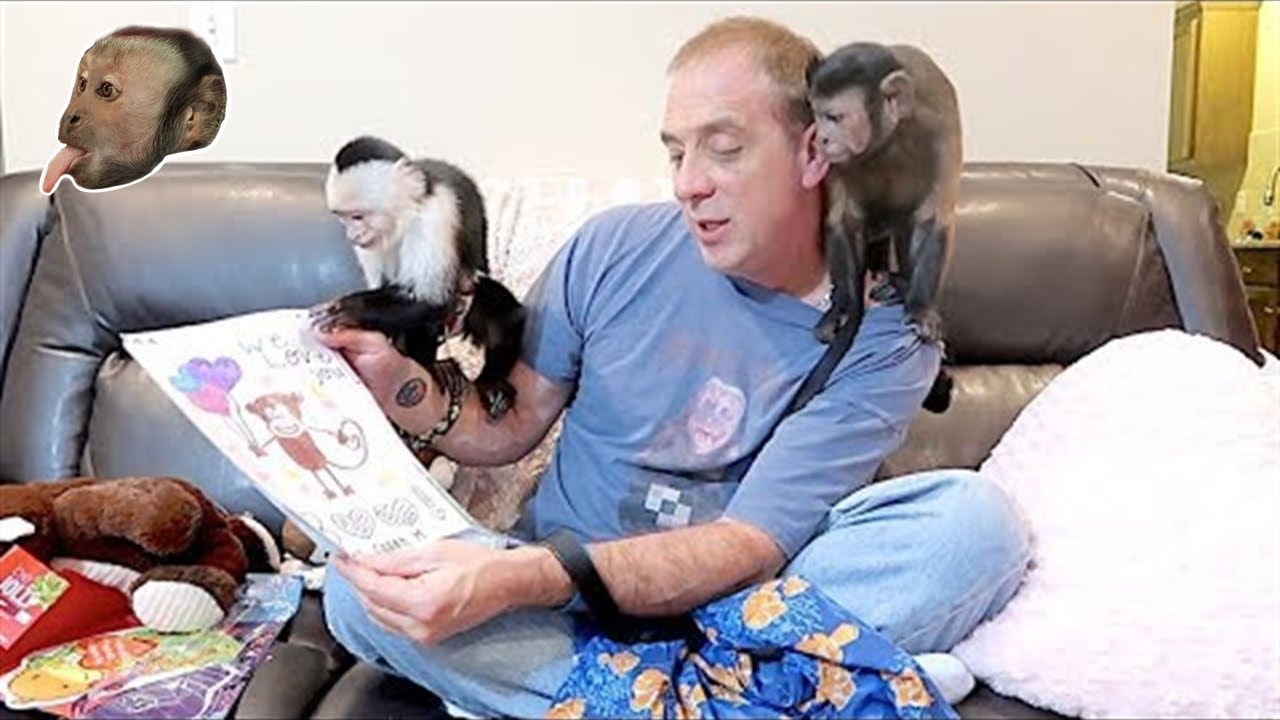 Monkeys Valentine's Day & Birthday Party Mail Vlog!