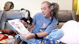 Monkeys Valentine's Day & Birthday Party Mail Vlog!