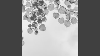 Brilliant Backdrops for Finding Headspace