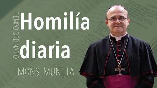 Homily 08/11/2026 / Tuesday of the 19th Week in Ordinary Time