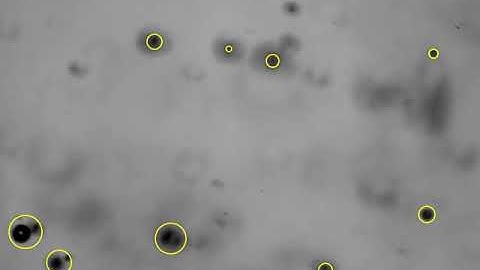 Sample 3, Bubble Detection/Characterization