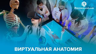 Интерактивный анатомический атлас Pl-Anatomy