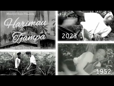 Harimau Tjampa (2023 - 1952) Film Minangkabau Jadoel (Silek Kumango)