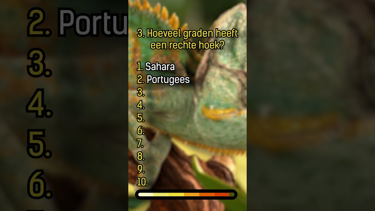 Hoeveel vragen had jij goed? #quiz #nederlands #viral