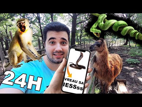 Video: Se testează botanica pe animale?