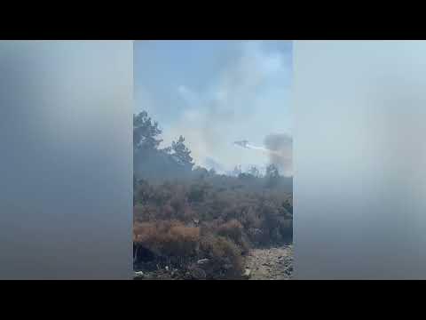 Milas Ormanları Alevlere Teslim
