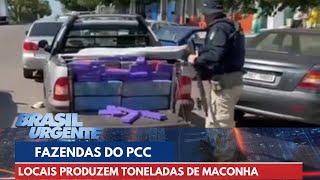Fazendas do PCC produzem toneladas de maconha | Brasil Urgente