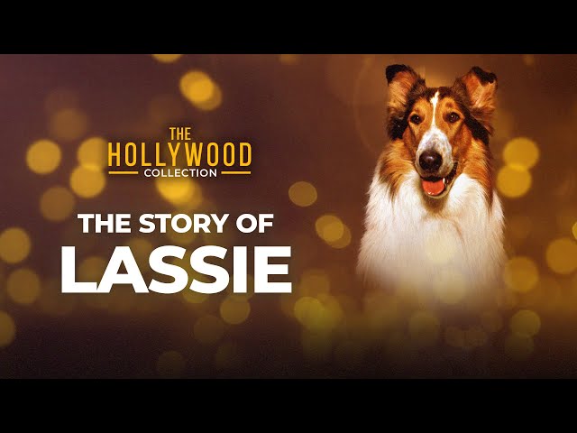 Hollywood Collection - The Story of Lassie (DVD) 646032039993