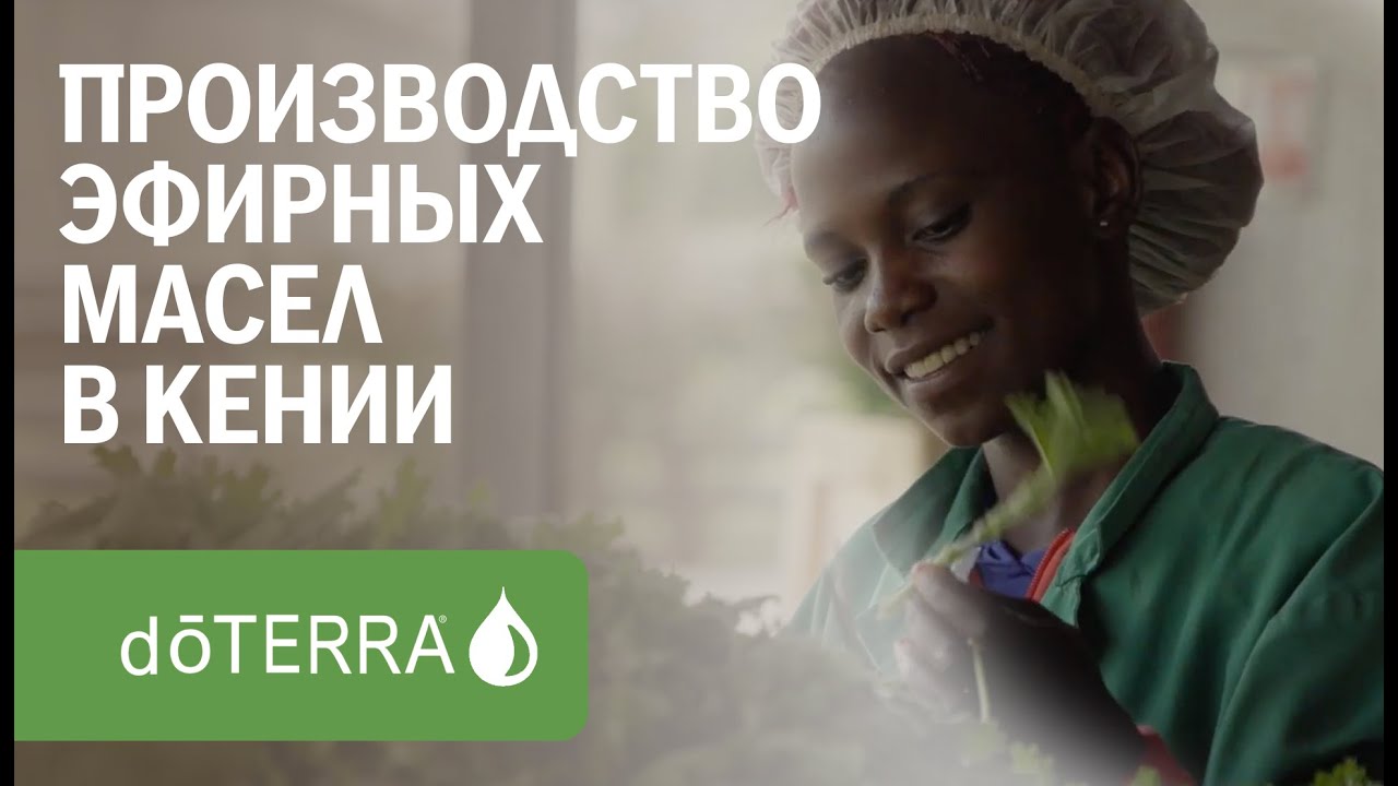 Производство эфирных масел в Кении - YouTube