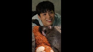 Punch The Monkey  Amazon Prime