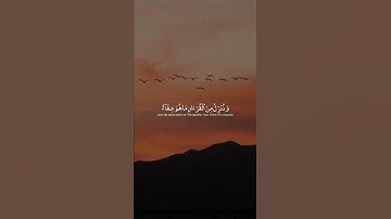 تلاوه خاشعه عكاشة كميني