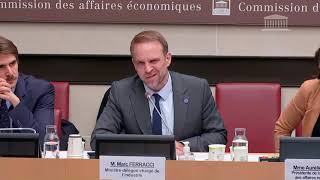 12112024 Thomas Lam Audition Du Ministre Lindustrie, Marc Ferracci