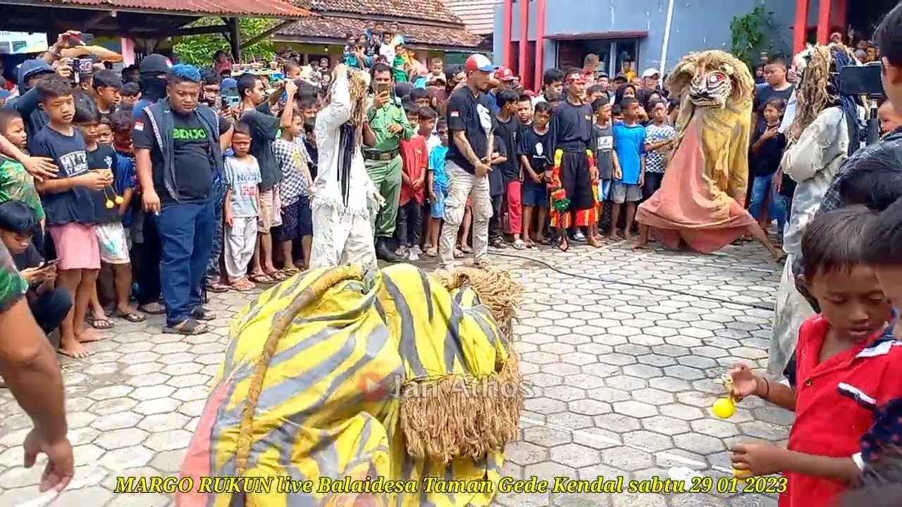 Terbaru barongan MARGO RUKUN live Balaidesa Tamangede Minggu 29 01 2023