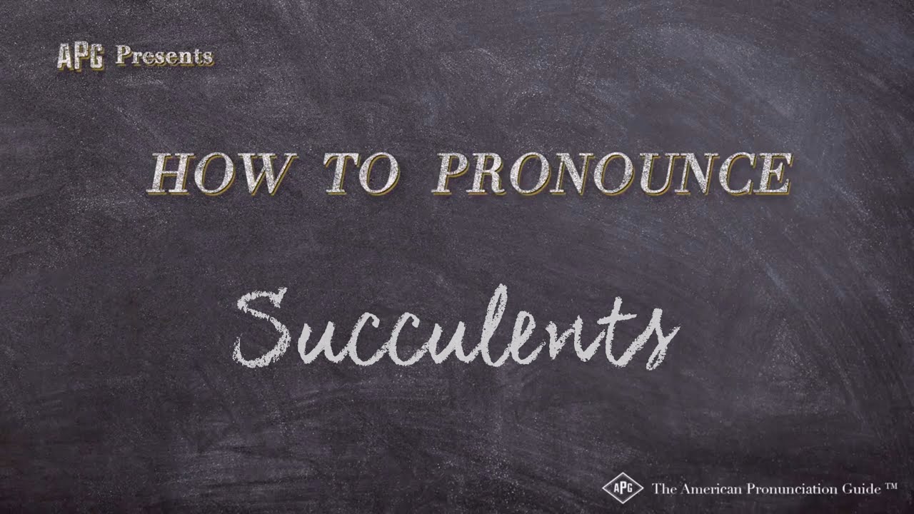 How to Pronounce Succulents (Real Life Examples!)