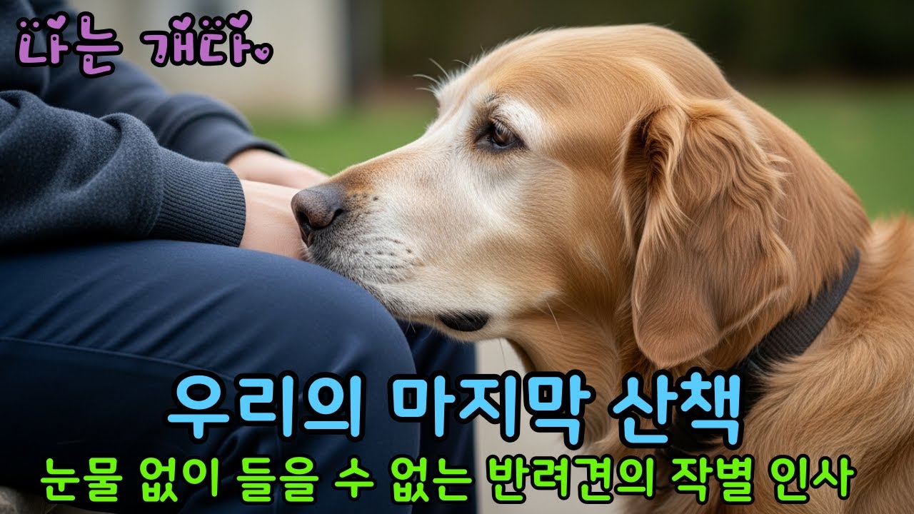 눈물 없이 들을 수 없는 반려견의 작별 인사. 