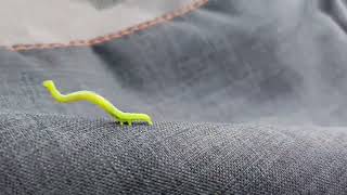 Wonderful Creation Of The Nature