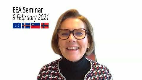 Thumbnail of Webinar on the European Economic Area - 9 February 2021