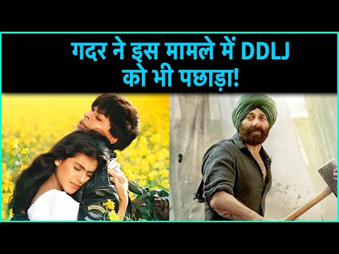 How Gadar broke DDLJ's record two days ago!