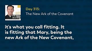 Why Mary is the New Ark of the Covenant?  Explained by Fr Mike Schmitz from Bible in a Year Day 313