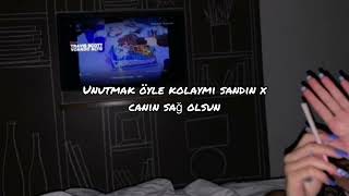 Semicenk x Mehmet Elmas - Unutmak öyle kolay mı sandın (Speed Up) Resimi