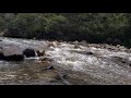 SONIDO de AGUA💧💦 Fluyendo Corriendo y Cayendo para Relajarse 1 (4K)
