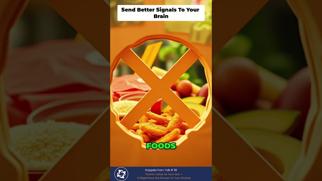 90% of Serotonin is Made in Your Gut?!