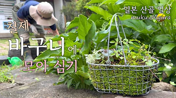 빈티지 철제바구니에 꽃 모아심기 일본 산골 일상 Muku Chi蔵 DIY 정원 SlowLife