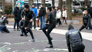 Rockabilly Dancers (Yoyogi Park)
