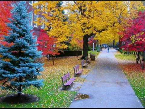 Ileana Berki-Birtule Batranule.wmv