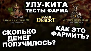 : -:  ,   .      (BDO-Black Desert)