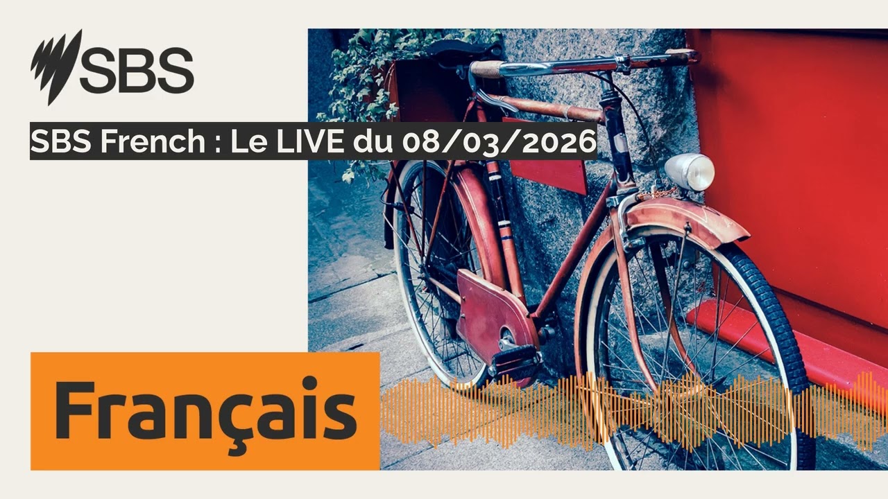 SBS French : Le LIVE du 08/03/2026 | SBS French - SBS en français