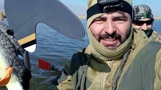 охота на утку в Армении / duck hunting in Armenia / badi vors 2022 #Հայորսորդ #охота #hunting #որս