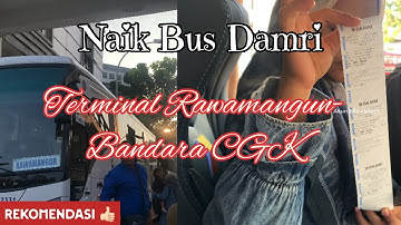 NAIK DAMRI TERMINAL RAWAMANGUN - BANDARA CGK LEBIH HEMAT 🚎 #busmania #damri #bus #transportasi
